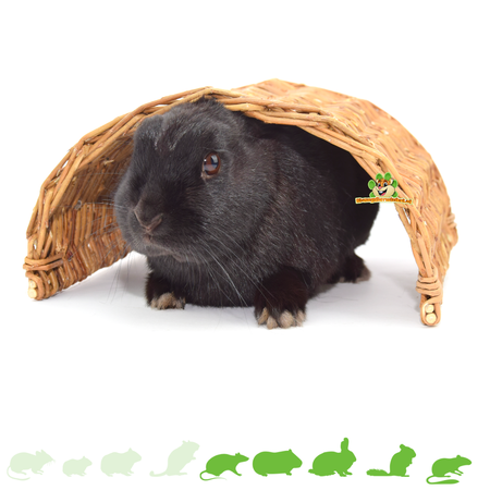 Trixie Braided Willow Bridge