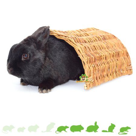 Trixie Most z plecionej wierzby