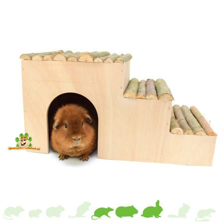 Elmato Houten Trap Huis 42 cm voor Knaagdieren!