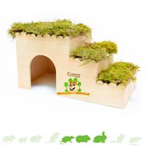 Houten Trap Huis 42 cm