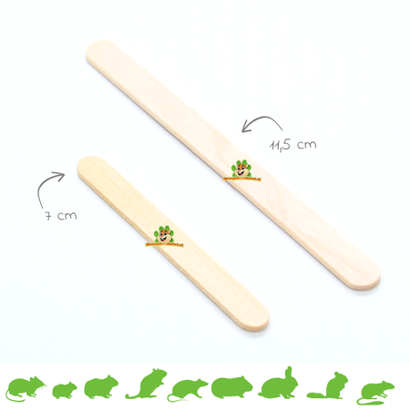 Knaagdierwinkel® DIY-Eisstiele aus Buchenholz, 11,5 cm | 50 Stück
