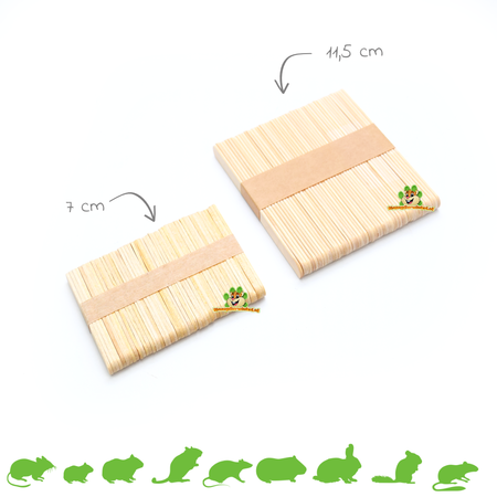 Knaagdierwinkel® DIY Popsicle Sticks 50 pieces