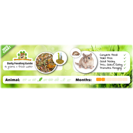 Getzoo Podstawowe menu dla gerbili Karma dla gerbili Naturalna karma dla gerbili 500 gramów