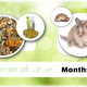 Getzoo Gerbil Basic Menu Gerbil Food Natürliches Rennmausfutter 500 Gramm