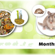 Getzoo Gerbil-Basismenü, 500 Gramm natürliches Gerbilfutter