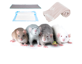 Tapis anti-rats