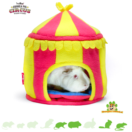 HayPigs Circus Tent 25 cm voor Knaagdieren & Konijnen!
