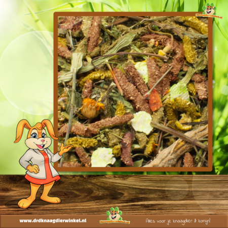 JR Farm Alimento para cobayas Grainless Health Mix 600 g – mezcla sin cereales