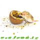 Ceramic coconut feeding bowl 10 cm