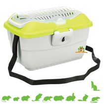 Transport box Mini-Capri Gray / Green 40 cm