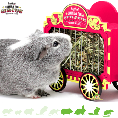 HayPigs Zirkus-Heuwagen für Nagetiere und Kaninchen!