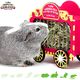HayPigs Cyrkowy wóz dla gryzoni i królików!