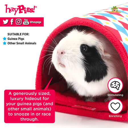 HayPigs Túnel HayPigs Harlequin de 24 cm para cobayas, ratas y roedores.