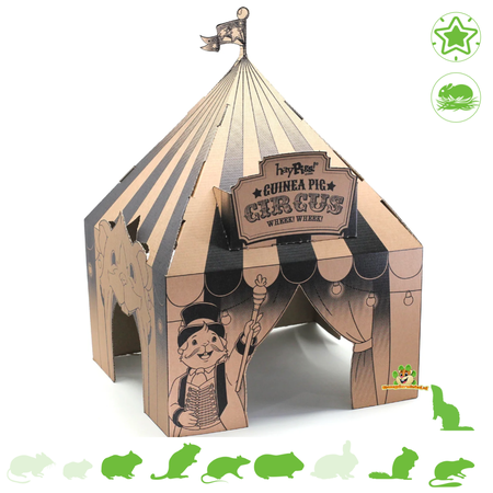 HayPigs Maisonnette en carton HayPigs de 33 cm pour rongeurs
