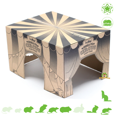 HayPigs HayPigs Pappspielhaus Junior 30 cm für Nagetiere
