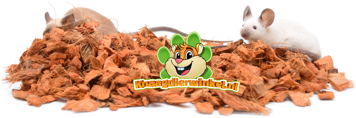 souris rongeurs creusent dans le Rodent Shop Couvre-sol exotique et noix de coco | Litière pour hamsterscaping et gerbilscaping | Literie pour animaux Joris sans odeur Ekoo