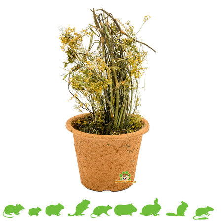 JR Farm Pot de récolte d'herbes