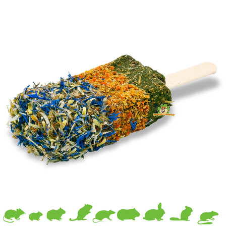 JR Farm Glace aux herbes pour rongeurs et lapins