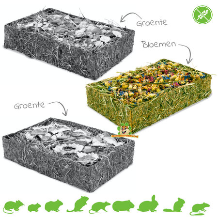 JR Farm Miska na siano bez ziarna dla gryzoni i królików!