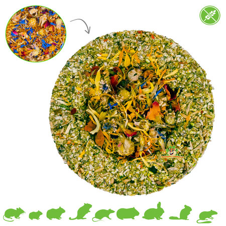 JR Farm Florero 10 cm Sin cereales