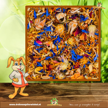 JR Farm Florero 10 cm Sin cereales