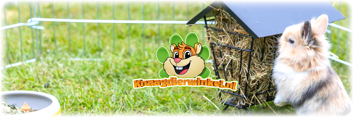 trixie rabbit hay rack for rabbits and guinea pigs
