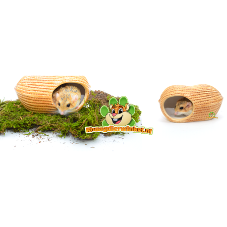 Trixie Keramiek Huis Pinda 17 cm voor Muizen en Dwerghamsters