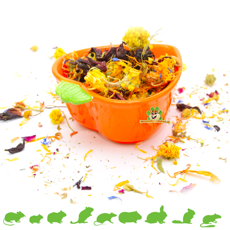 Trixie Futternapf & Wassernapf Karotte 12 cm