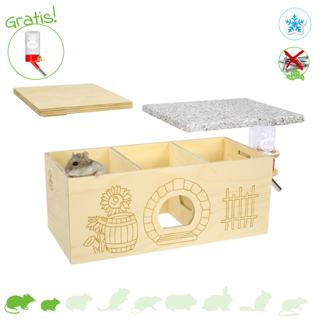 Rodipet ʄʋʀɬɨɴɡ Graniet Meerkamer Huis Dwarf SMALL