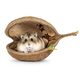 Knaagdierwinkel® Buddha Note for Hamsterscaping & Gerbilscaping
