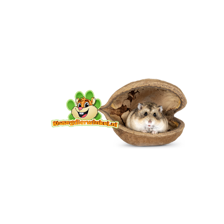 Knaagdierwinkel® Nakrętka Buddy dla gryzoni!