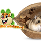 Knaagdierwinkel® Buddha Nut for Rodents!