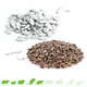 Sunflower seeds 600 grams