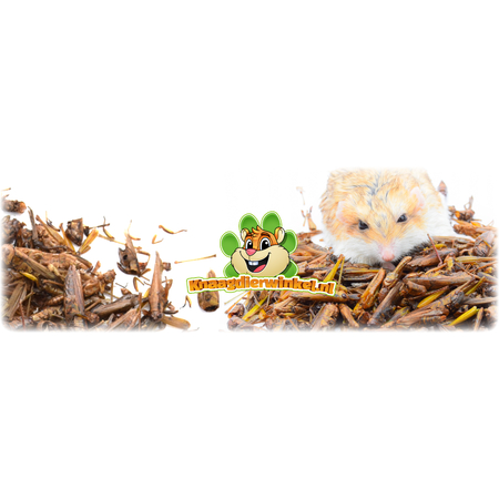Getrocknete Heuschrecken für kleine Nagetiere!