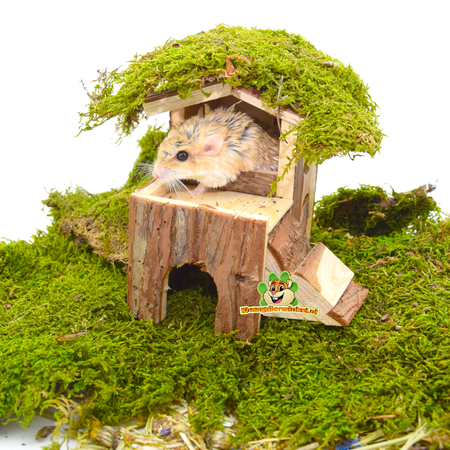 Trixie Bjork House 15 cm for Mice & Dwarf Hamsters