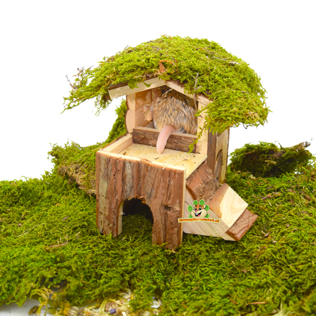 Trixie Björk Haus 15 cm für Mäuse & Zwerghamster