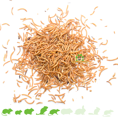 Knaagdierwinkel® Dried mealworms for small rodents