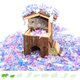 Trixie Bjork House 15 cm for Mice & Dwarf Hamsters