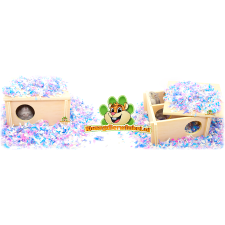 Maison de plain-pied à plusieurs chambres de 20 cm pour souris et hamsters nains