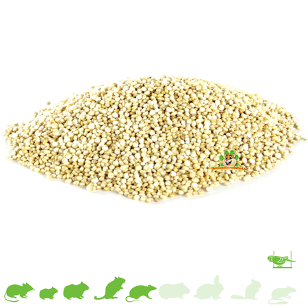 Esve Posypka z nasion Quinoa 300 gramów