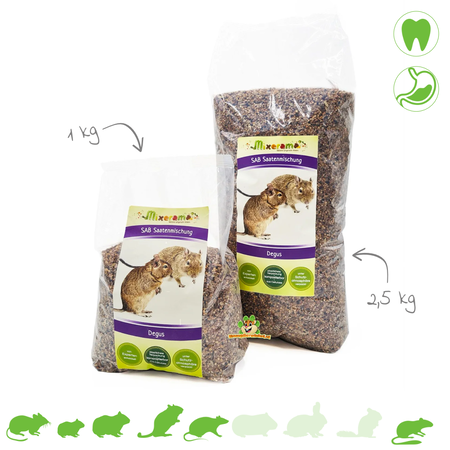 Mixerama Mieszanka nasion SAB Degoe 1 kg
