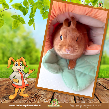 Śpiwór Marchewkowy Pluszowy 40 cm