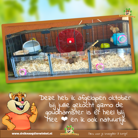 Ferplast Cage Multipla pour hamsters, grande taille 100 cm, pour rongeurs !