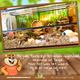 Knaagdierwinkel® Black Scape Terrarium met schuifdeur | Alleen afhalen