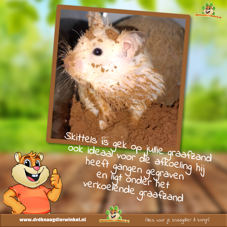 Elmato Nagetierspielsand 5 kg für Nagetiere & Kaninchen!