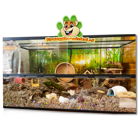 Knaagdierwinkel® Terrarium Black Scape z przesuwanymi drzwiami | Tylko odbiór osobisty