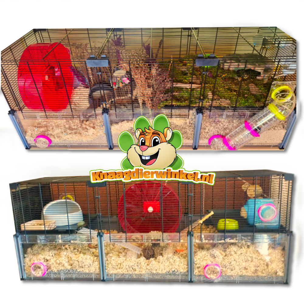 Cage Hamster Ferplast Paula : Animaux Market : Hamster : Rongeur