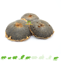 Dried Sunflower Head Large 1 piece