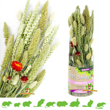 Esve Tube de bouquet pour animaux de compagnie Récolte Habitat