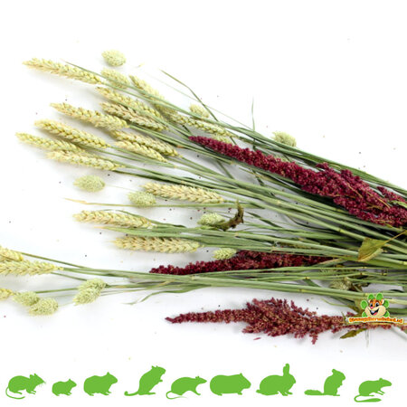 Esve Ramo de mascotas Cosecha Arbusto mordisqueador